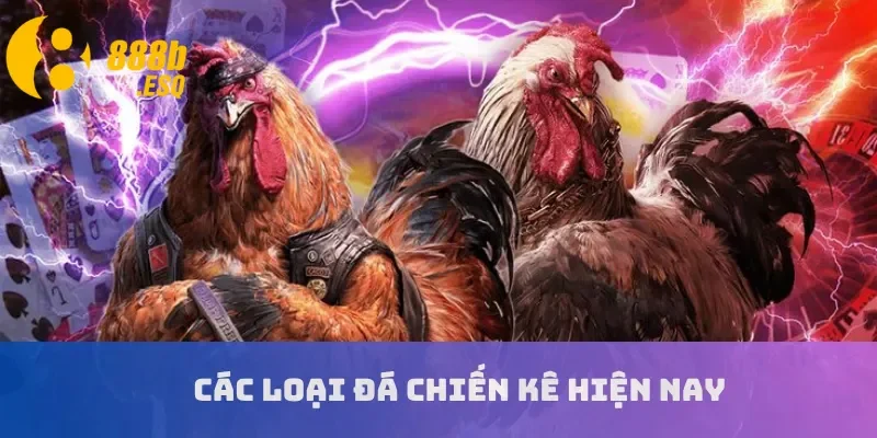 Các loại đá chiến kê hiện nay