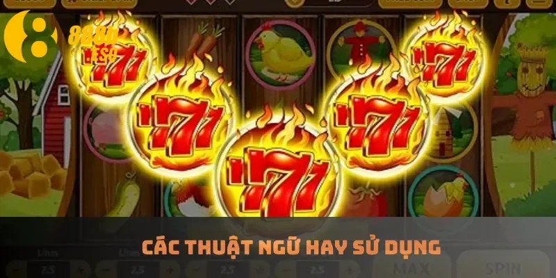 Các thuật ngữ hay sử dụng