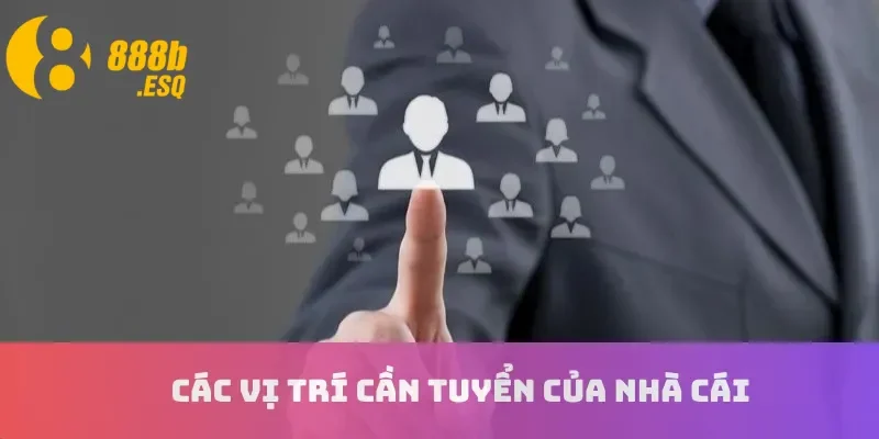 Các vị trí cần tuyển của nhà cái