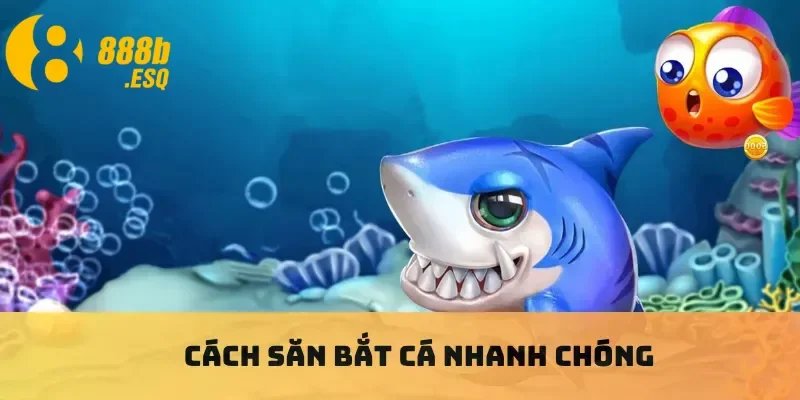 Cách săn bắt cá nhanh chóng