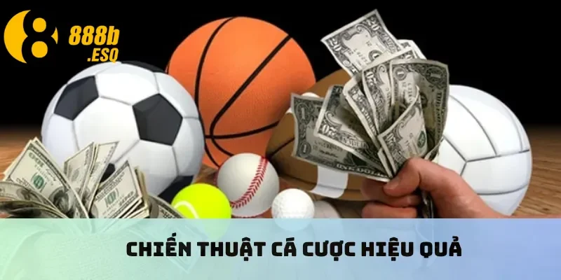 Chiến thuật cá cược hiệu quả