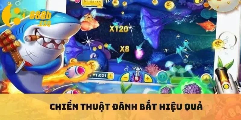 Chiến thuật đánh bắt hiệu quả