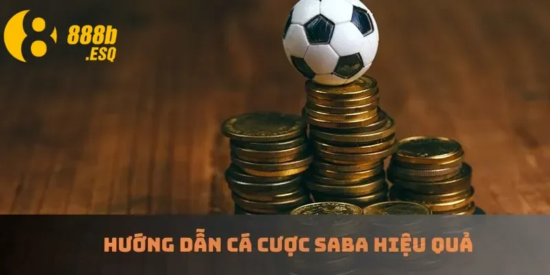 Hướng dẫn cá cược Saba hiệu quả