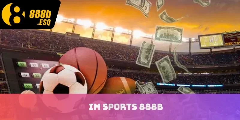 IM Sports 888B