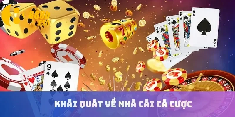 Khái quát về nhà cái cá cược