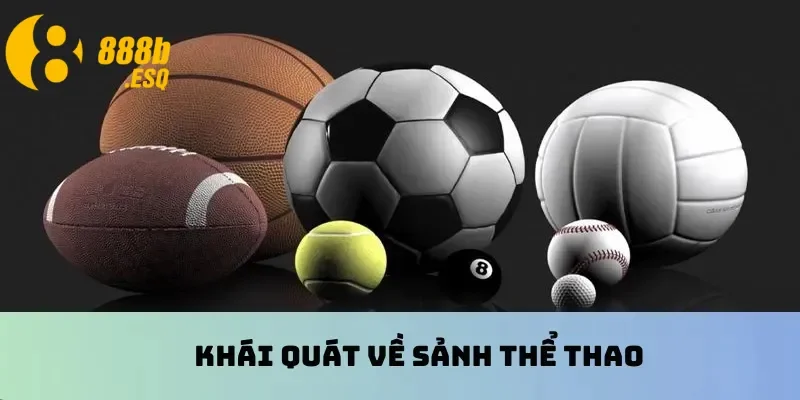 Khái quát về sảnh thể thao