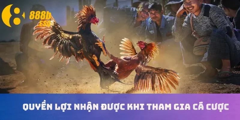 Quyền lợi nhận được khi tham gia cá cược