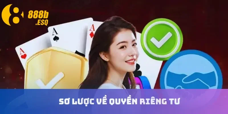 Sơ lược về quyền riêng tư