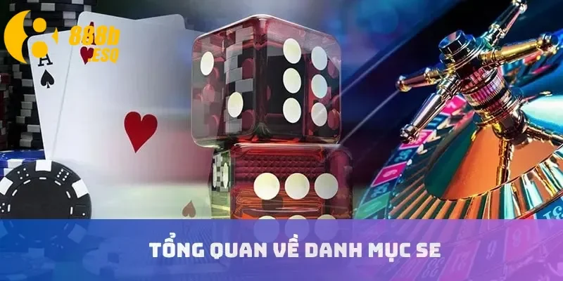 Tổng quan về danh mục SE